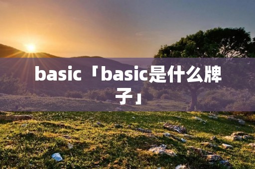 basic「basic是什么牌子」