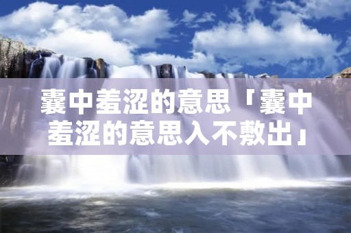 囊中羞涩的意思「囊中羞涩的意思入不敷出」