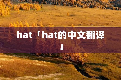 hat「hat的中文翻译」 hat「hat的中文翻译」