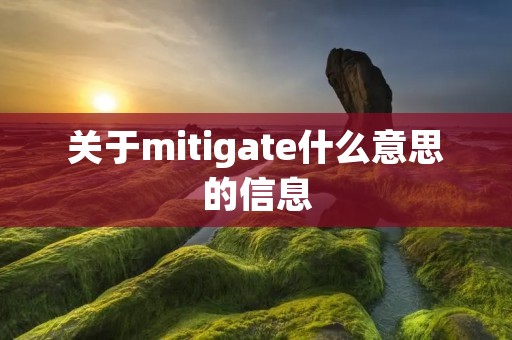 关于mitigate什么意思的信息 关于mitigate什么意思的信息