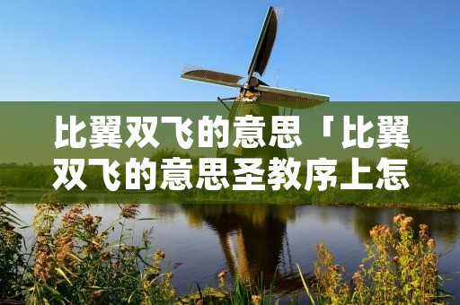 比翼双飞的意思「比翼双飞的意思圣教序上怎样写」