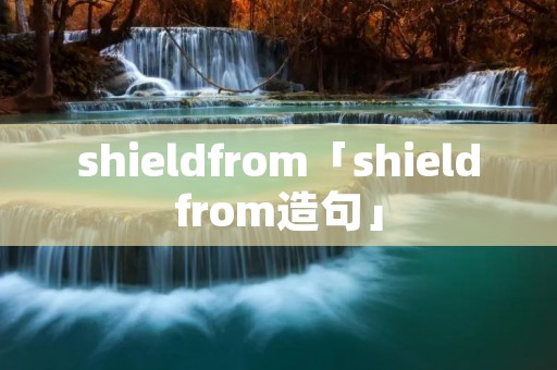 shieldfrom「shieldfrom造句」