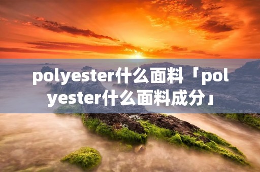 polyester什么面料「polyester什么面料成分」