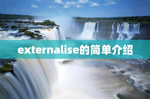 externalise的简单介绍