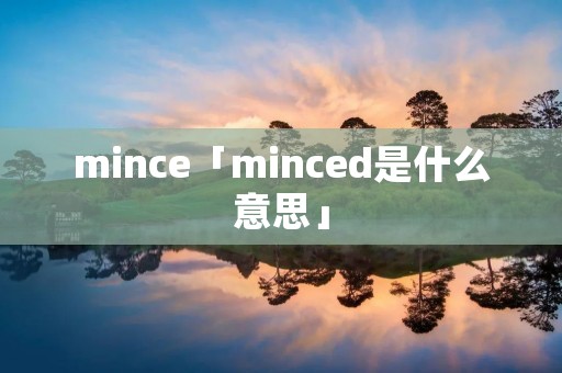 mince「minced是什么意思」