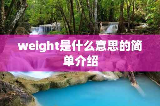 weight是什么意思的简单介绍