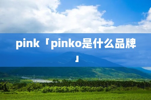 pink「pinko是什么品牌」