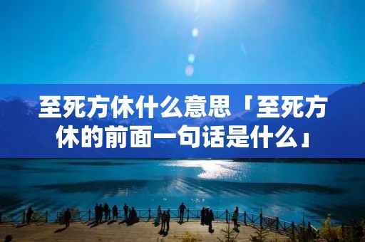 至死方休什么意思「至死方休的前面一句话是什么」