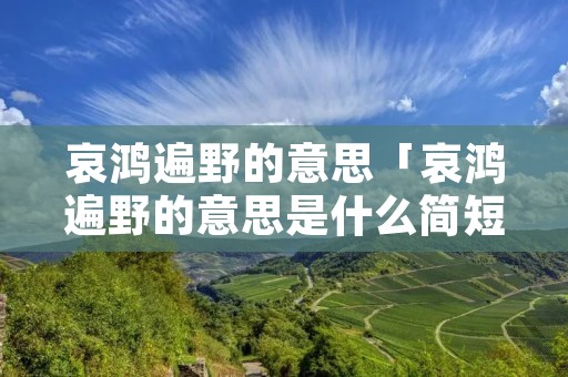 哀鸿遍野的意思「哀鸿遍野的意思是什么简短」