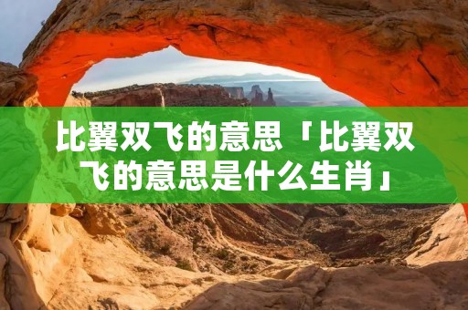 比翼双飞的意思「比翼双飞的意思是什么生肖」