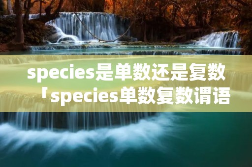 species是单数还是复数「species单数复数谓语」