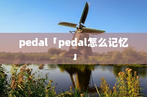 pedal「pedal怎么记忆」