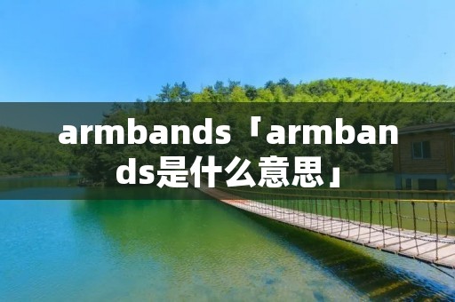 armbands「armbands是什么意思」