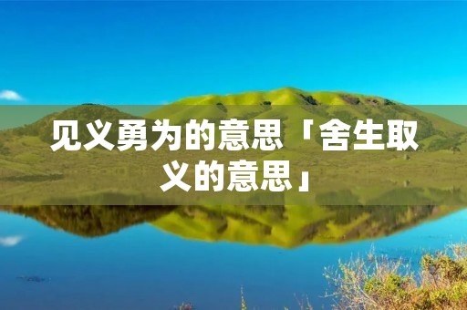 见义勇为的意思「舍生取义的意思」
