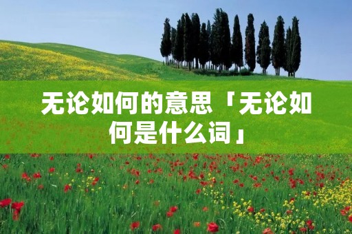 无论如何的意思「无论如何是什么词」