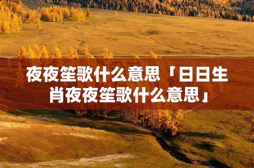 夜夜笙歌什么意思「日日生肖夜夜笙歌什么意思」