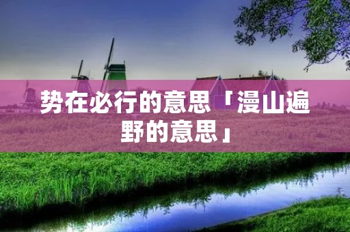 势在必行的意思「漫山遍野的意思」