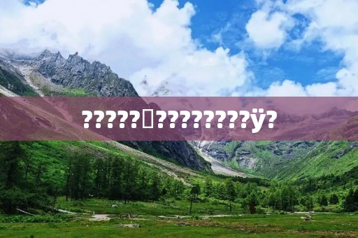 ?????????????ÿ?