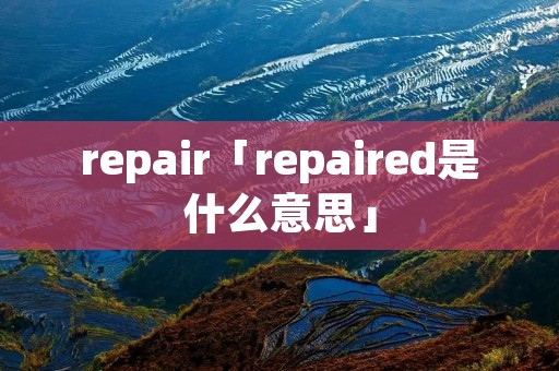 repair「repaired是什么意思」