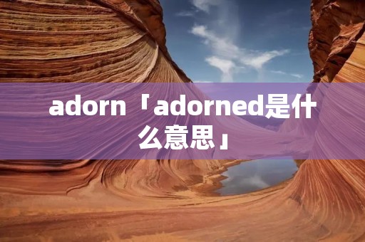 adorn「adorned是什么意思」