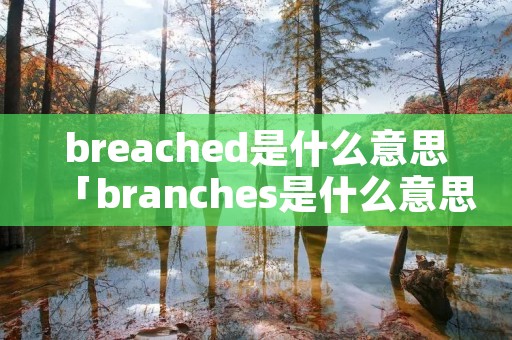 breached是什么意思「branches是什么意思中文」