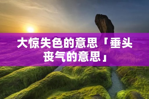 大惊失色的意思「垂头丧气的意思」
