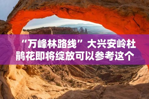 “万峰林路线”大兴安岭杜鹃花即将绽放可以参考这个行程去看花