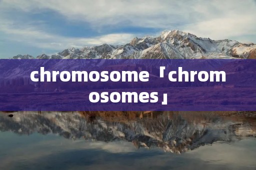 chromosome「chromosomes」