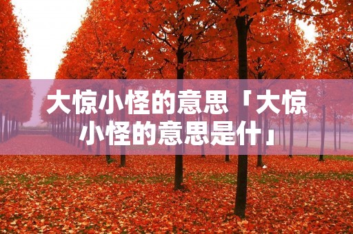 大惊小怪的意思「大惊小怪的意思是什」