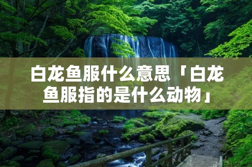 白龙鱼服什么意思「白龙鱼服指的是什么动物」