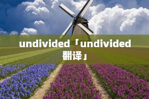 undivided「undivided翻译」 undivided「undivided翻译」