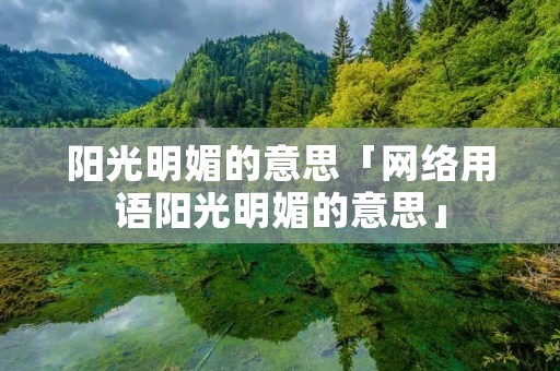 阳光明媚的意思「网络用语阳光明媚的意思」
