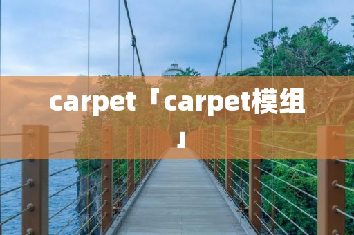carpet「carpet模组」