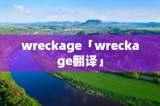 wreckage「wreckage翻译」