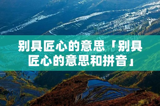 别具匠心的意思「别具匠心的意思和拼音」