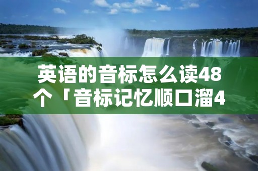 英语的音标怎么读48个「音标记忆顺口溜48个」