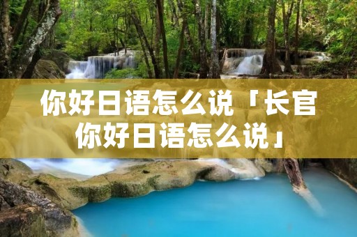 你好日语怎么说「长官你好日语怎么说」