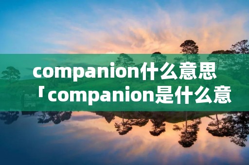 companion什么意思「companion是什么意思啊」