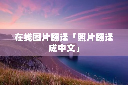 在线图片翻译「照片翻译成中文」
