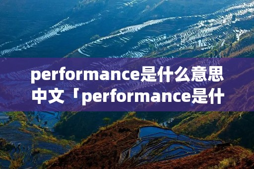performance是什么意思中文「performance是什么意思啊英语」