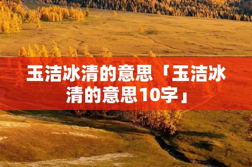 玉洁冰清的意思「玉洁冰清的意思10字」