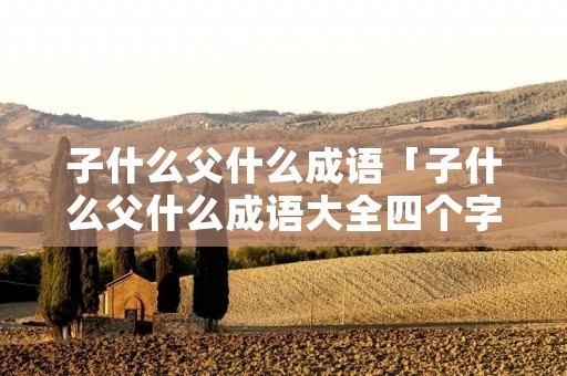 子什么父什么成语「子什么父什么成语大全四个字」