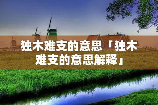 独木难支的意思「独木难支的意思解释」