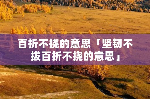 百折不挠的意思「坚韧不拔百折不挠的意思」