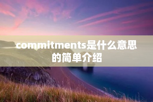 commitments是什么意思的简单介绍