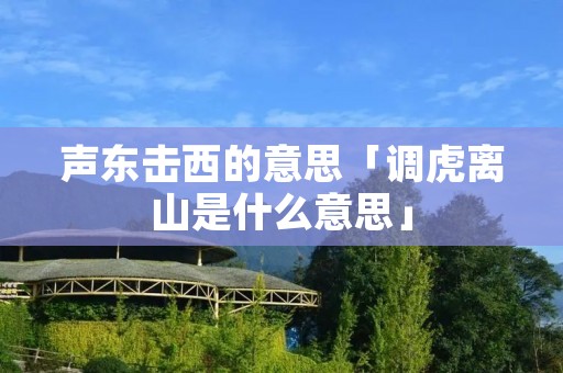 声东击西的意思「调虎离山是什么意思」