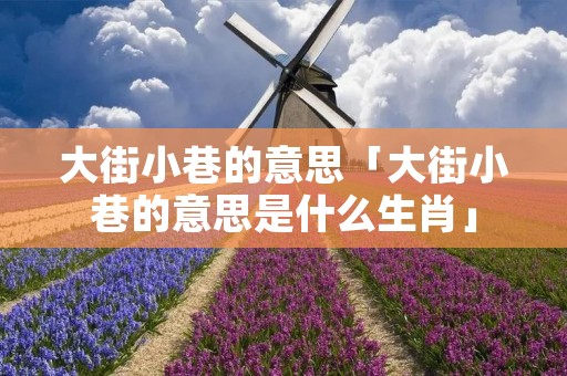 大街小巷的意思「大街小巷的意思是什么生肖」