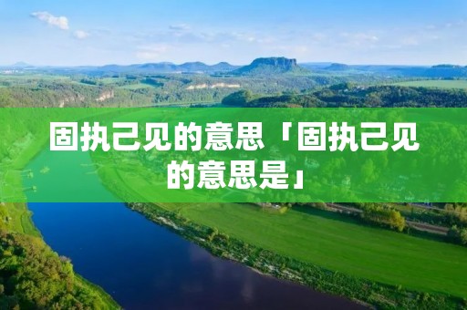 固执己见的意思「固执己见的意思是」