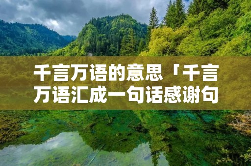 千言万语的意思「千言万语汇成一句话感谢句子」
