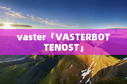 vaster「VASTERBOTTENOST」